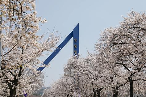 화양연화